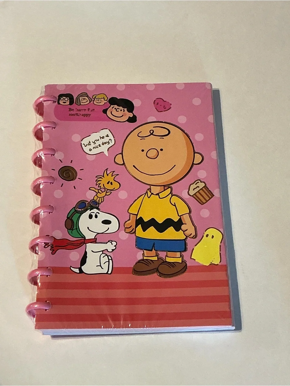 Peanuts Charlie Brown Pink A5 Spiral  Notebook